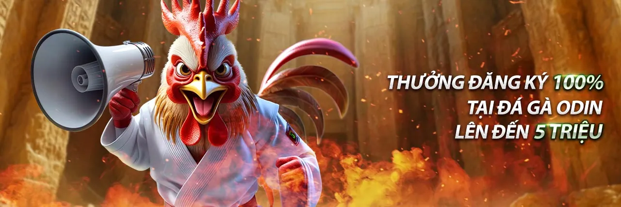 Hoàn trả cược xổ số hàng tuần 01WIN55